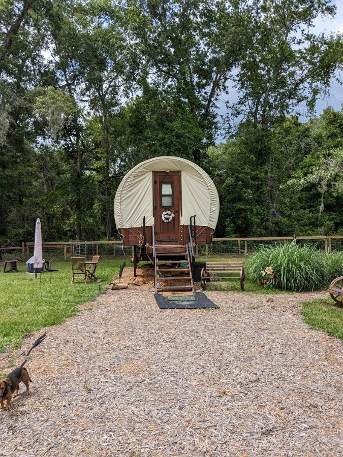 Rooterville Animal Sanctuary Melrose Exterior photo