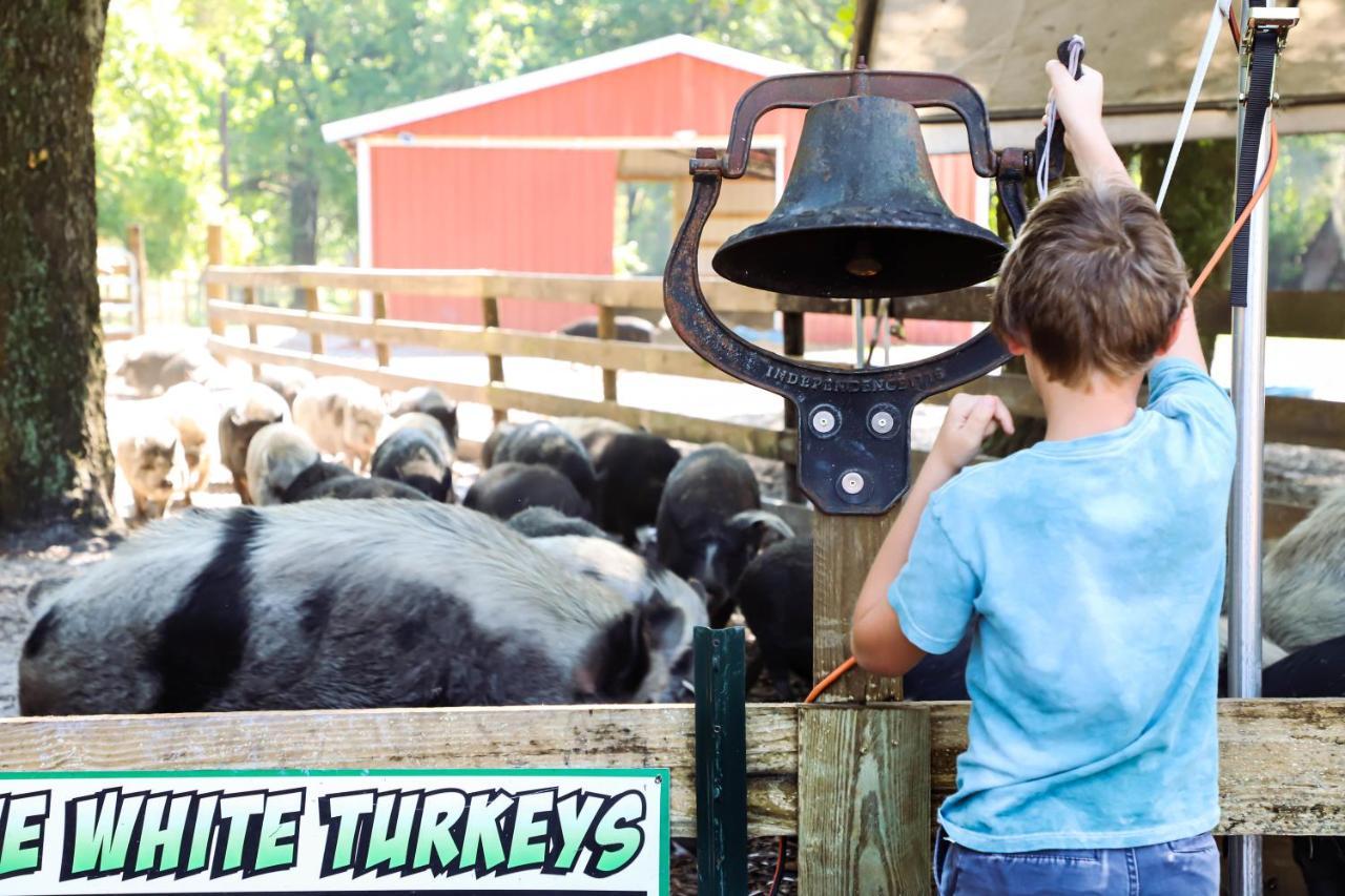 Rooterville Animal Sanctuary Melrose Exterior photo