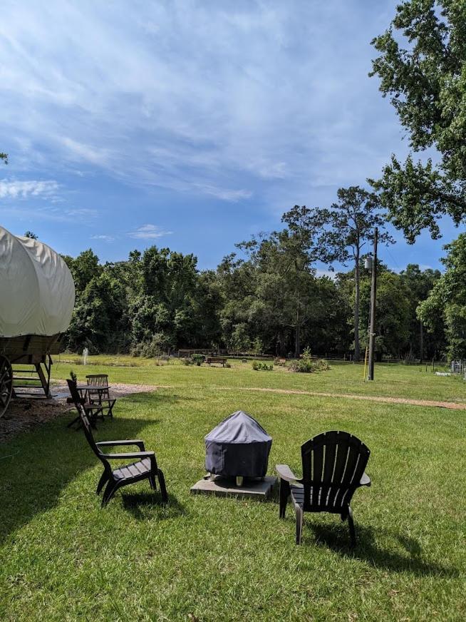 Rooterville Animal Sanctuary Melrose Exterior photo