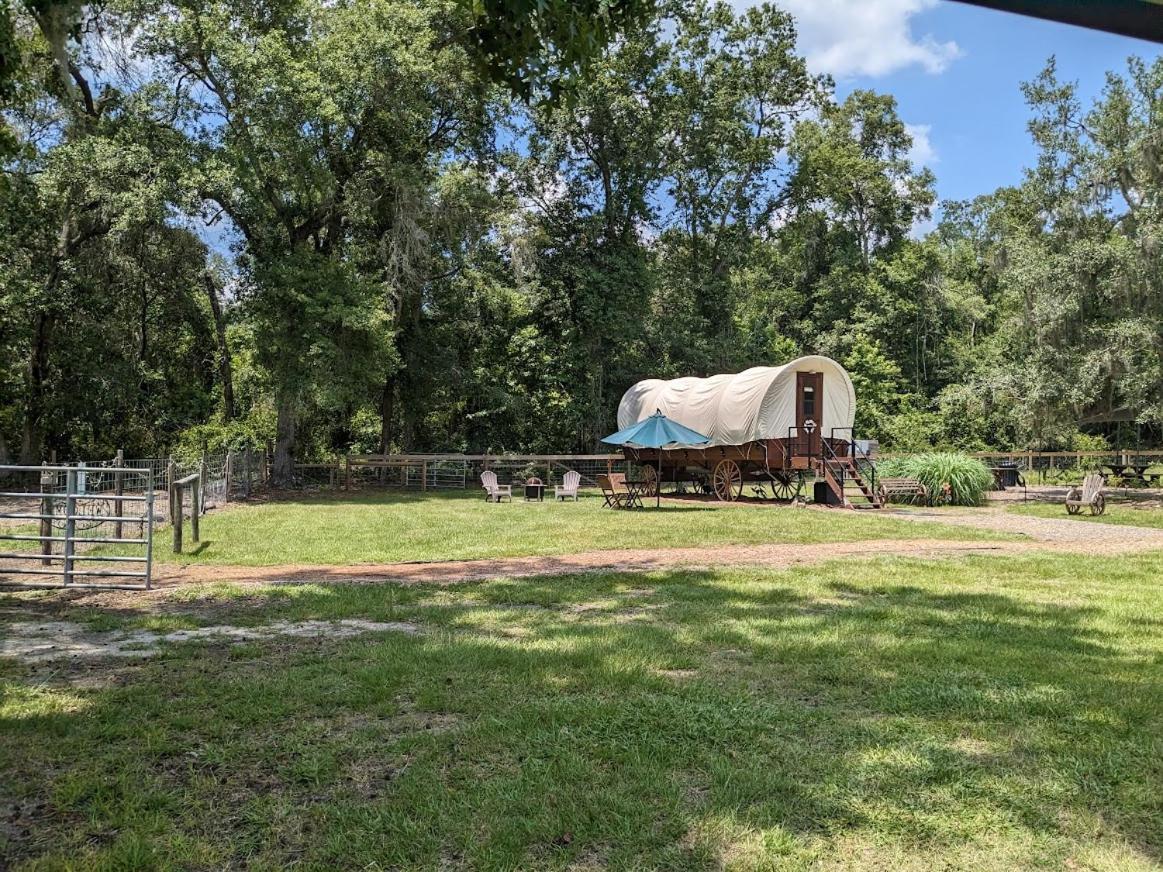 Rooterville Animal Sanctuary Melrose Exterior photo
