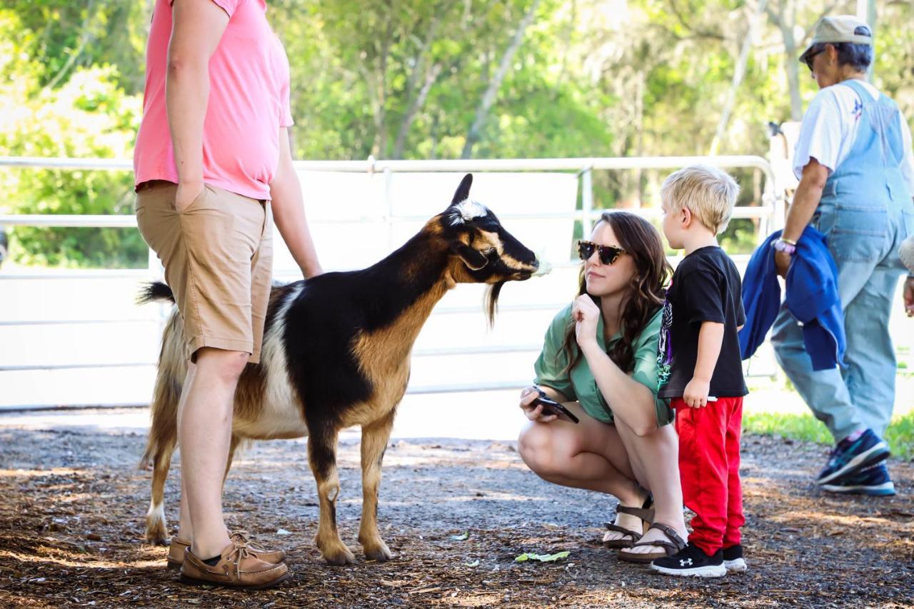Rooterville Animal Sanctuary Melrose Exterior photo