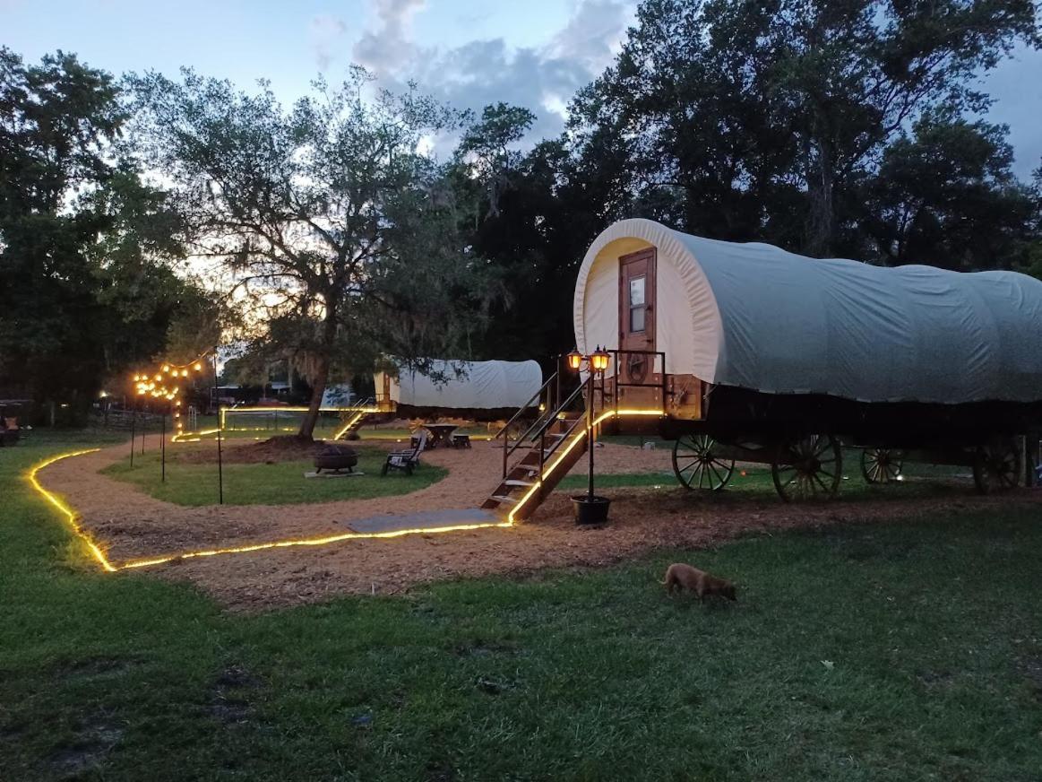Rooterville Animal Sanctuary Melrose Exterior photo