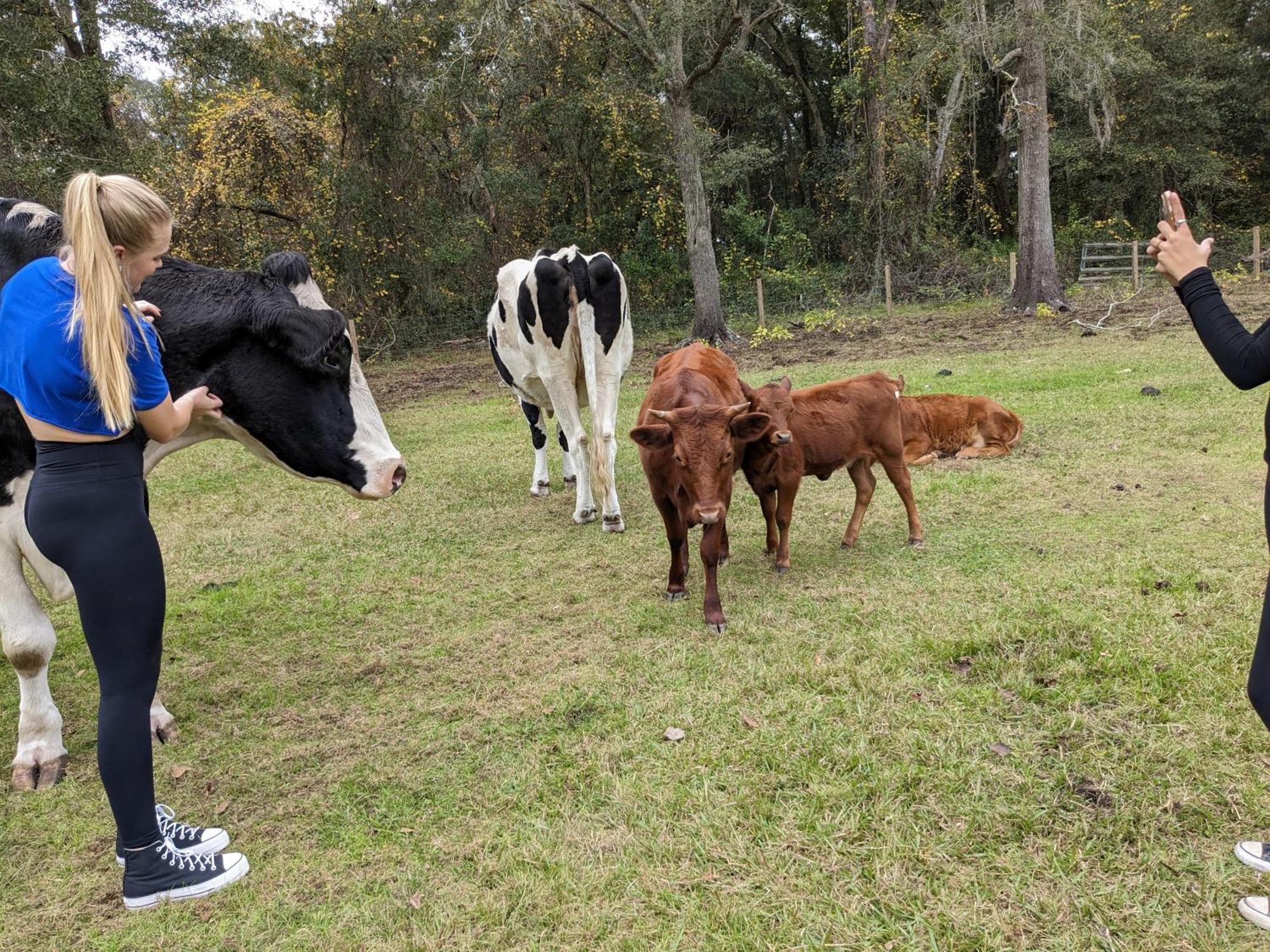 Rooterville Animal Sanctuary Melrose Exterior photo