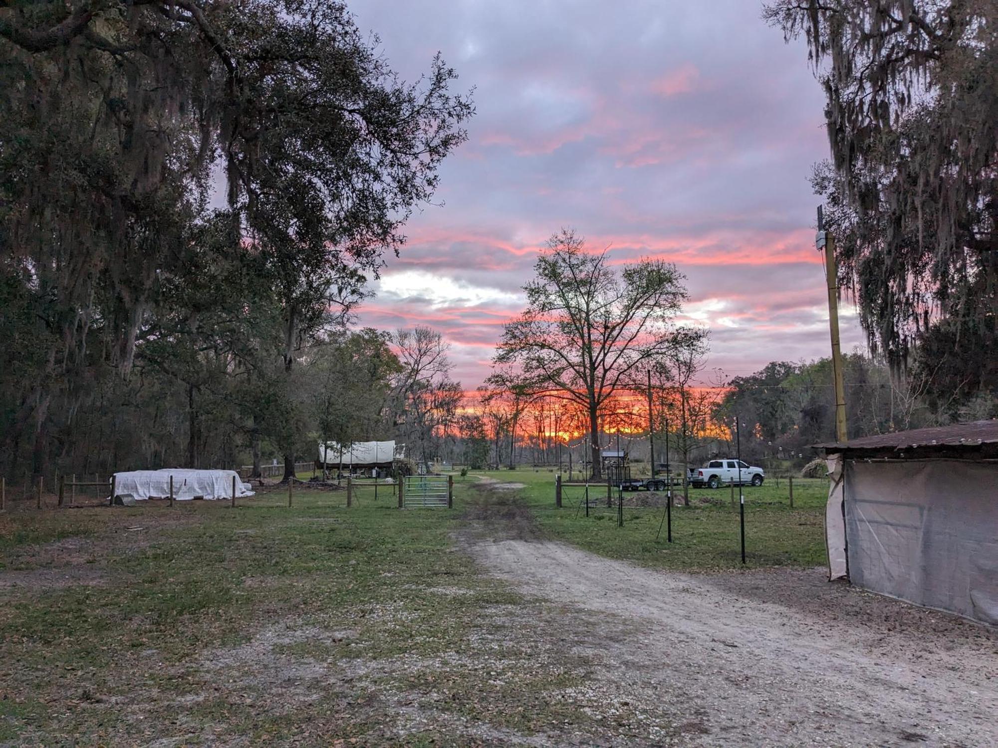 Rooterville Animal Sanctuary Melrose Exterior photo